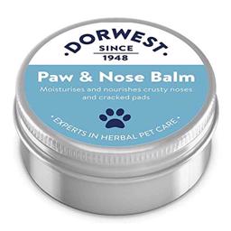 Dorwest tassnäsbalsam för torrhundens näsor och tassar
